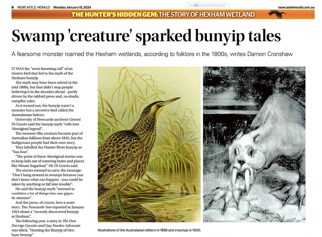 Swamp 'creature' and strange noises sparked bunyip tales at Hexham  By Damon Cronshaw