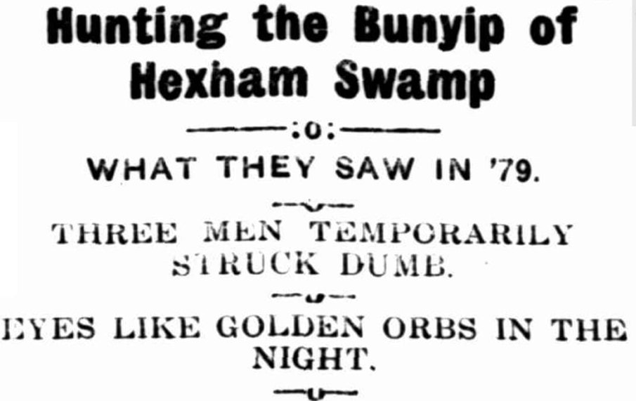Hunting the Bunyip of Hexham Swamp, The Don Dorrigo Gazette March 25, 1925. Transcribed from 1925 P. 3.