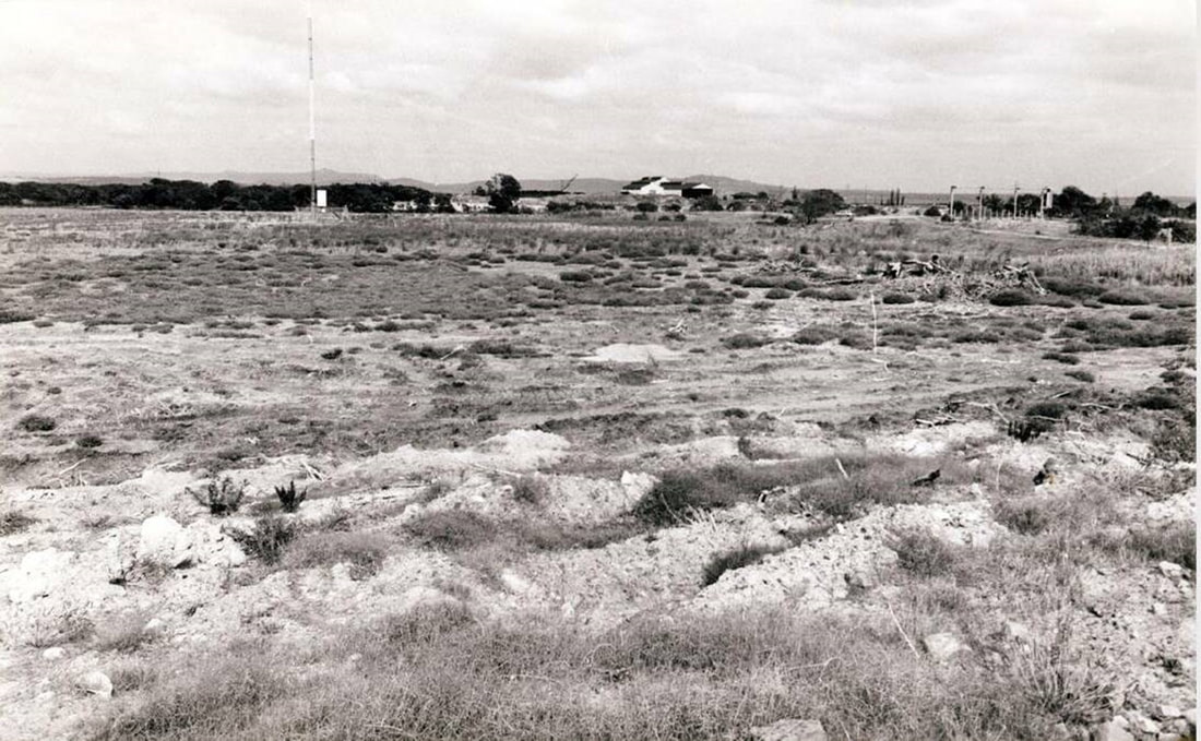The dried-out wasteland of Hexham swamp in the 1970s. Picture: Local Land Services.